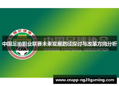 中国足协职业联赛未来发展路径探讨与改革方向分析