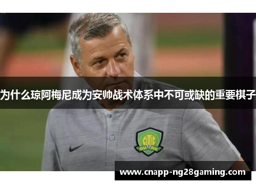 为什么琼阿梅尼成为安帅战术体系中不可或缺的重要棋子