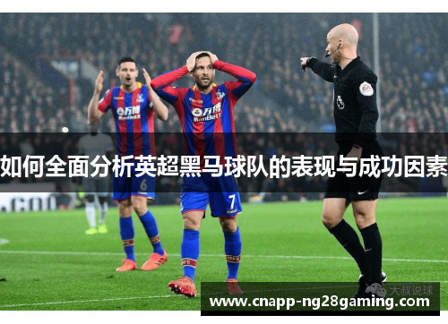 如何全面分析英超黑马球队的表现与成功因素