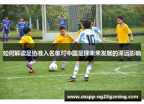 如何解读足协准入名单对中国足球未来发展的深远影响
