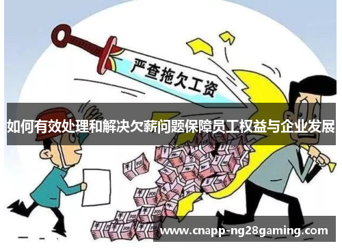 如何有效处理和解决欠薪问题保障员工权益与企业发展