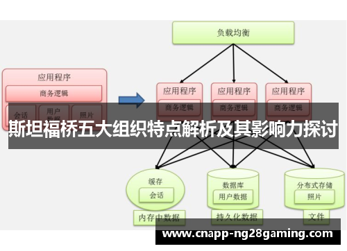 斯坦福桥五大组织特点解析及其影响力探讨