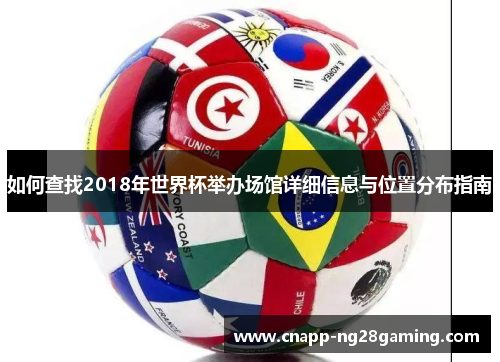 如何查找2018年世界杯举办场馆详细信息与位置分布指南