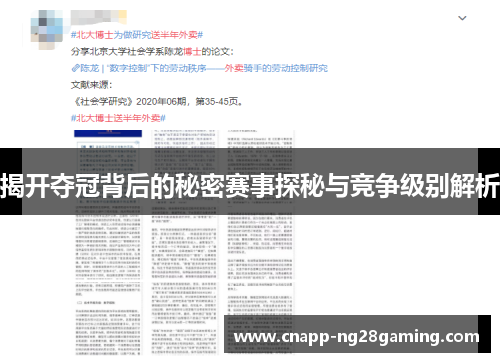 揭开夺冠背后的秘密赛事探秘与竞争级别解析