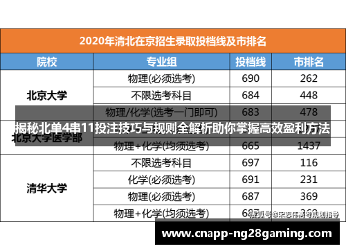 揭秘北单4串11投注技巧与规则全解析助你掌握高效盈利方法