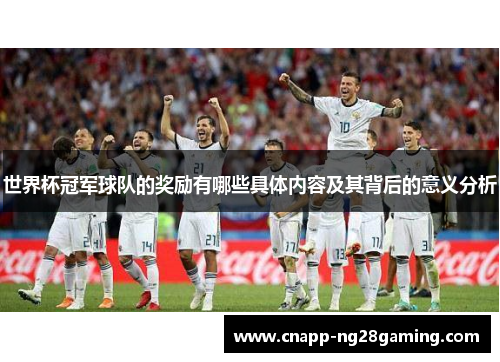 世界杯冠军球队的奖励有哪些具体内容及其背后的意义分析