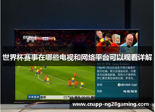 世界杯赛事在哪些电视和网络平台可以观看详解 世界杯赛事在哪些电视和网络平台可以观看详解