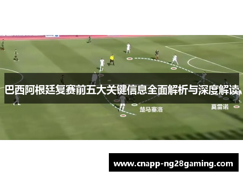 巴西阿根廷复赛前五大关键信息全面解析与深度解读