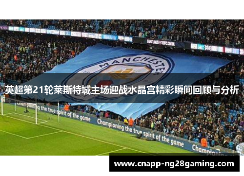 英超第21轮莱斯特城主场迎战水晶宫精彩瞬间回顾与分析