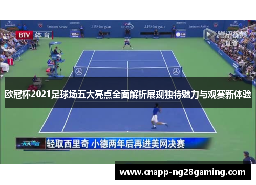 欧冠杯2021足球场五大亮点全面解析展现独特魅力与观赛新体验