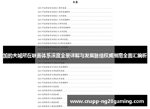 加的夫城所在联赛体系深度全景详解与发展脉络权威指南全面汇编析