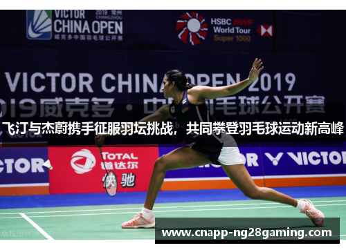 飞汀与杰蔚携手征服羽坛挑战,共同攀登羽毛球运动新高峰 飞汀与杰蔚携手征服羽坛挑战,共同攀登羽毛球运动新高峰