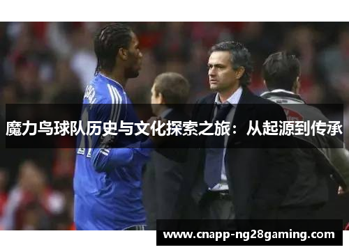 魔力鸟球队历史与文化探索之旅：从起源到传承