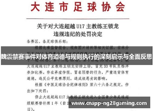 魏震禁赛事件对体育道德与规则执行的深刻启示与全面反思