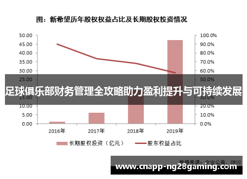 足球俱乐部财务管理全攻略助力盈利提升与可持续发展