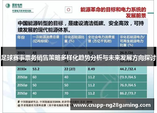 足球赛事票务销售策略多样化趋势分析与未来发展方向探讨
