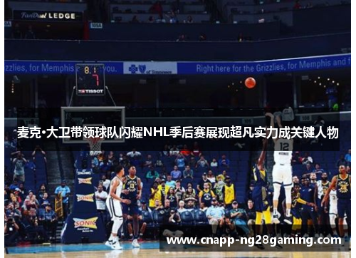 麦克·大卫带领球队闪耀NHL季后赛展现超凡实力成关键人物
